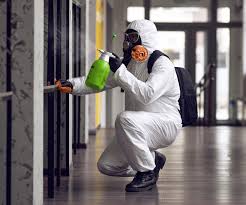 Why You Should Choose Our Mold Remediation Services in Yazoo City, MS